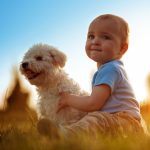 faire accepter votre bébé à votre chien