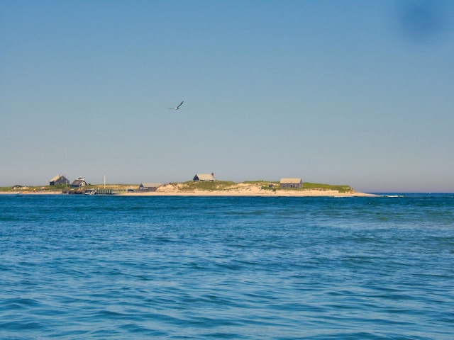 Qu’est-ce qui rend les îles Chatham si uniques et fascinantes à explorer ?