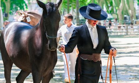 Préparer votre animal à une compétition