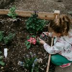 santé de votre jardin