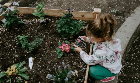 santé de votre jardin