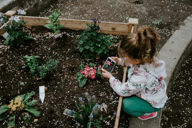 santé de votre jardin