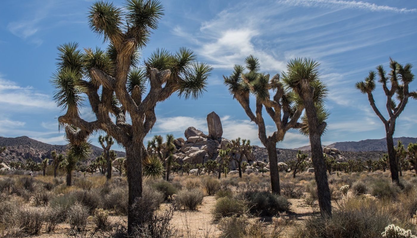 beaux parcs nationaux