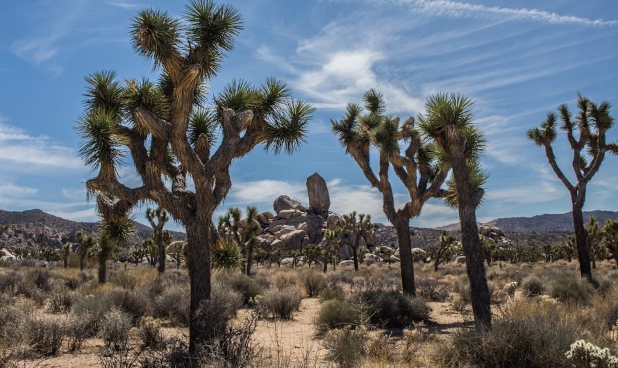 Les plus beaux parcs nationaux à explorer absolument