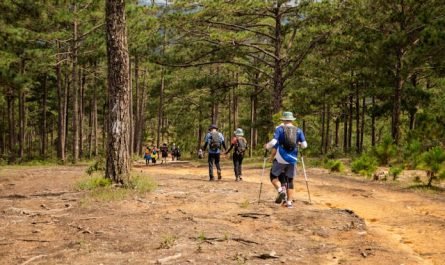 pratique du trail