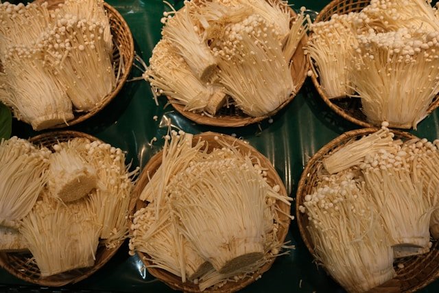 Toile de coco : avantages et utilisations écologiques en 2025