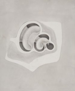 système auditif