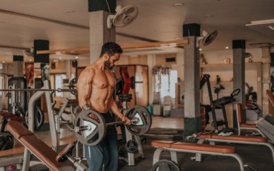 prise de muscle
