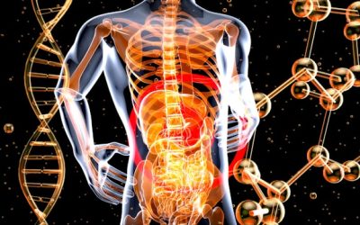 régime pauvre FODMAP
