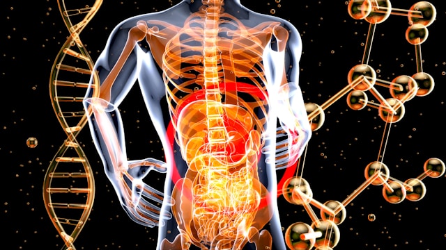 régime pauvre FODMAP